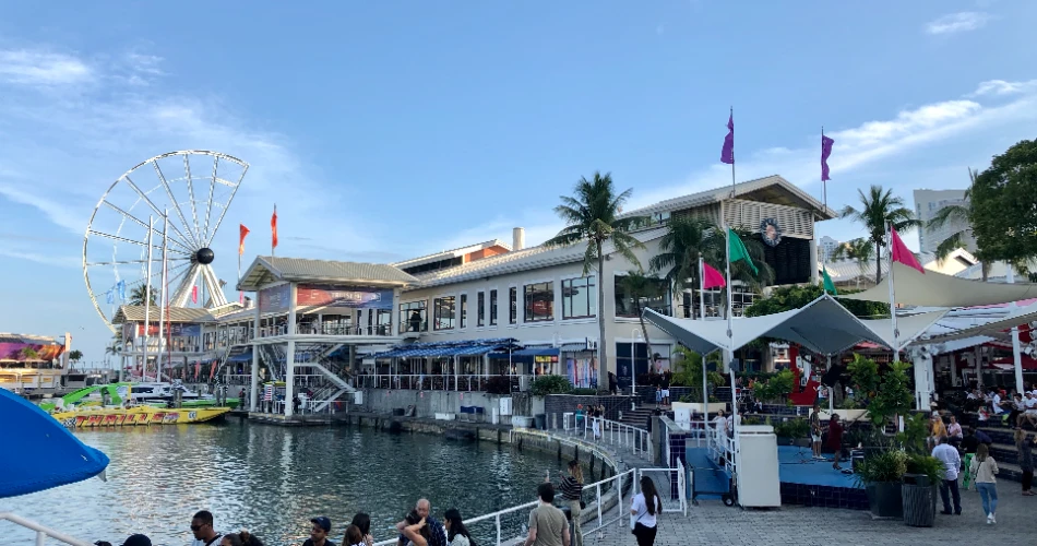 48 Hours in Miami: Beaches, Bites & Big Energy