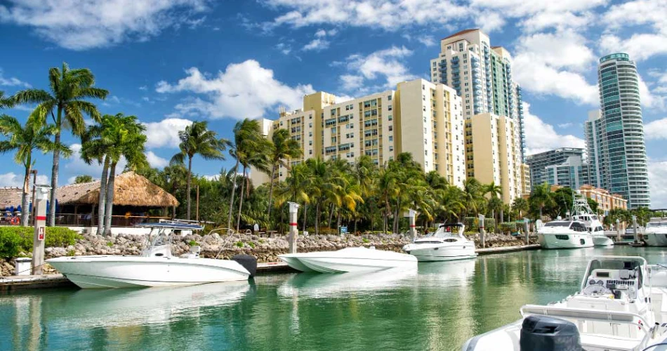 48 Hours in Miami: Beaches, Bites & Big Energy