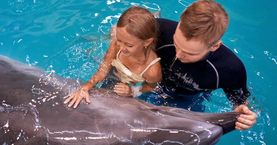 20 Best Things to Do in Miami with Kids