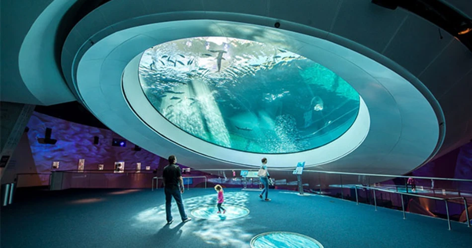 20 Best Things to Do in Miami with Kids