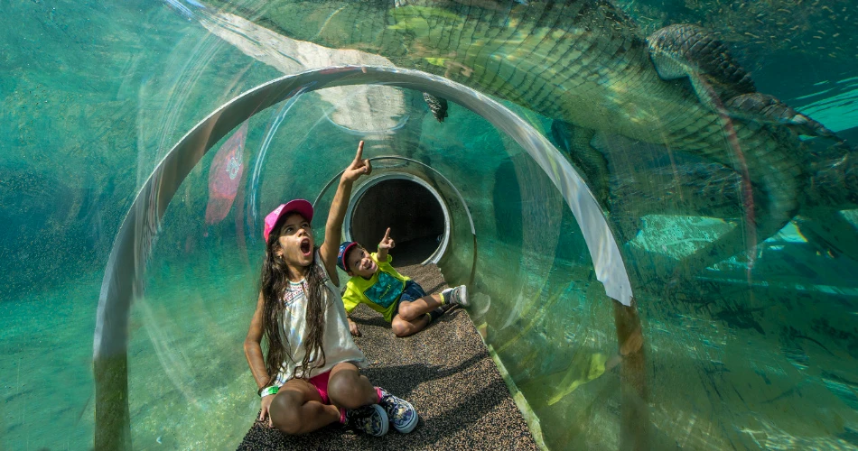 20 Best Things to Do in Miami with Kids