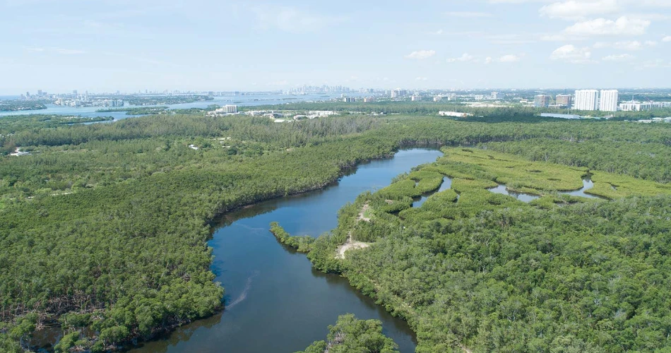 20 Best Things to Do in Miami with Kids