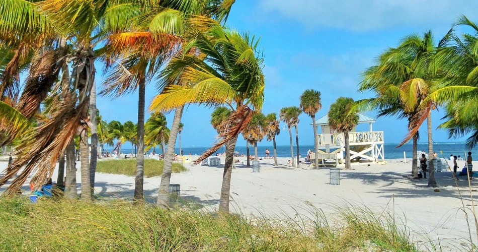 20 Best Things to Do in Miami with Kids