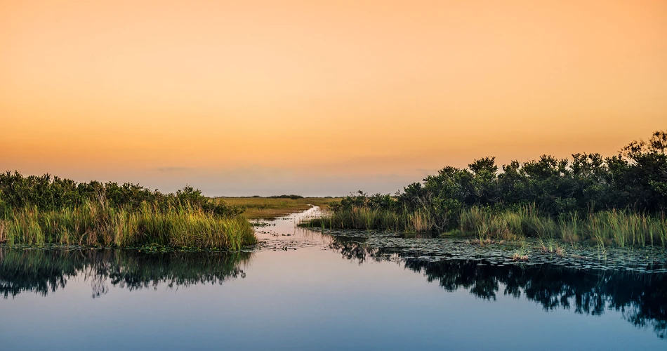 20 Best Things to Do in Miami with Kids