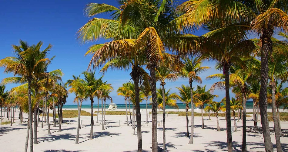 10 Best Miami Attractions