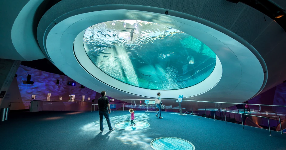 10 Best Miami Attractions