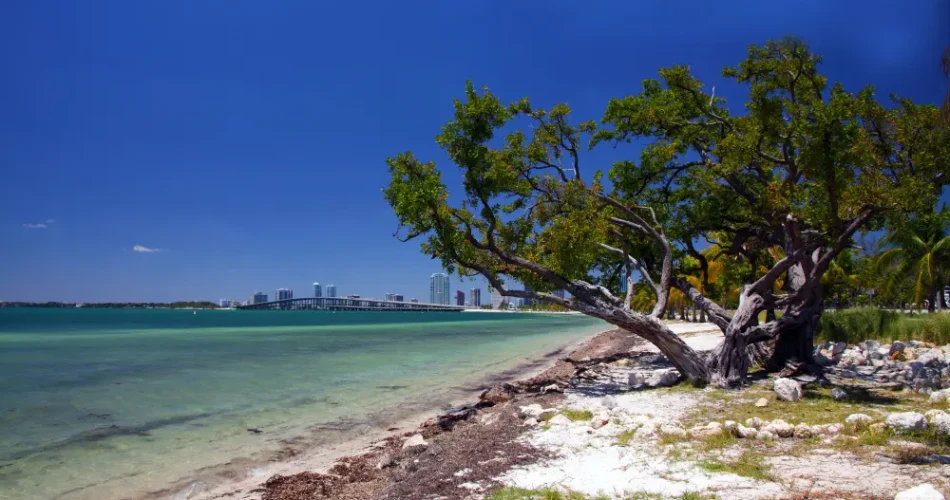 18 Best Beaches in Miami, Florida